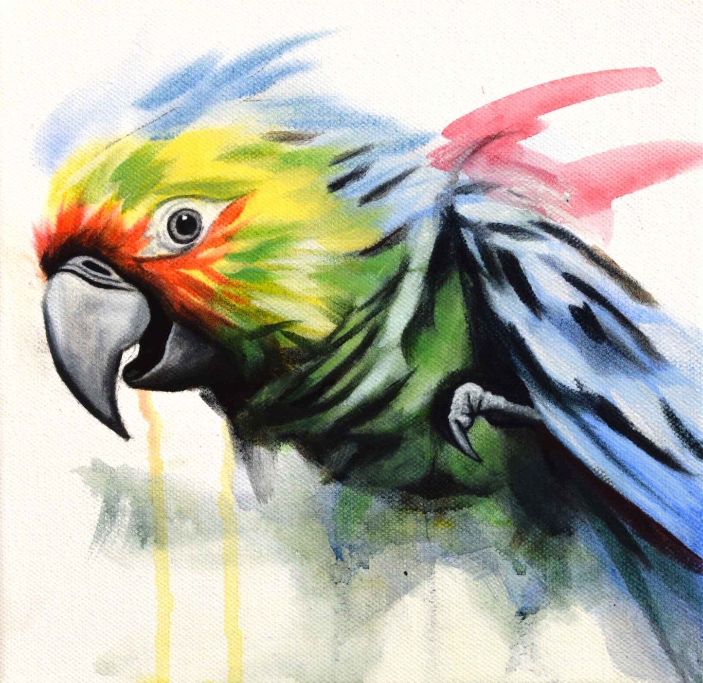 Parrot (ORIGINAL PAINTING)