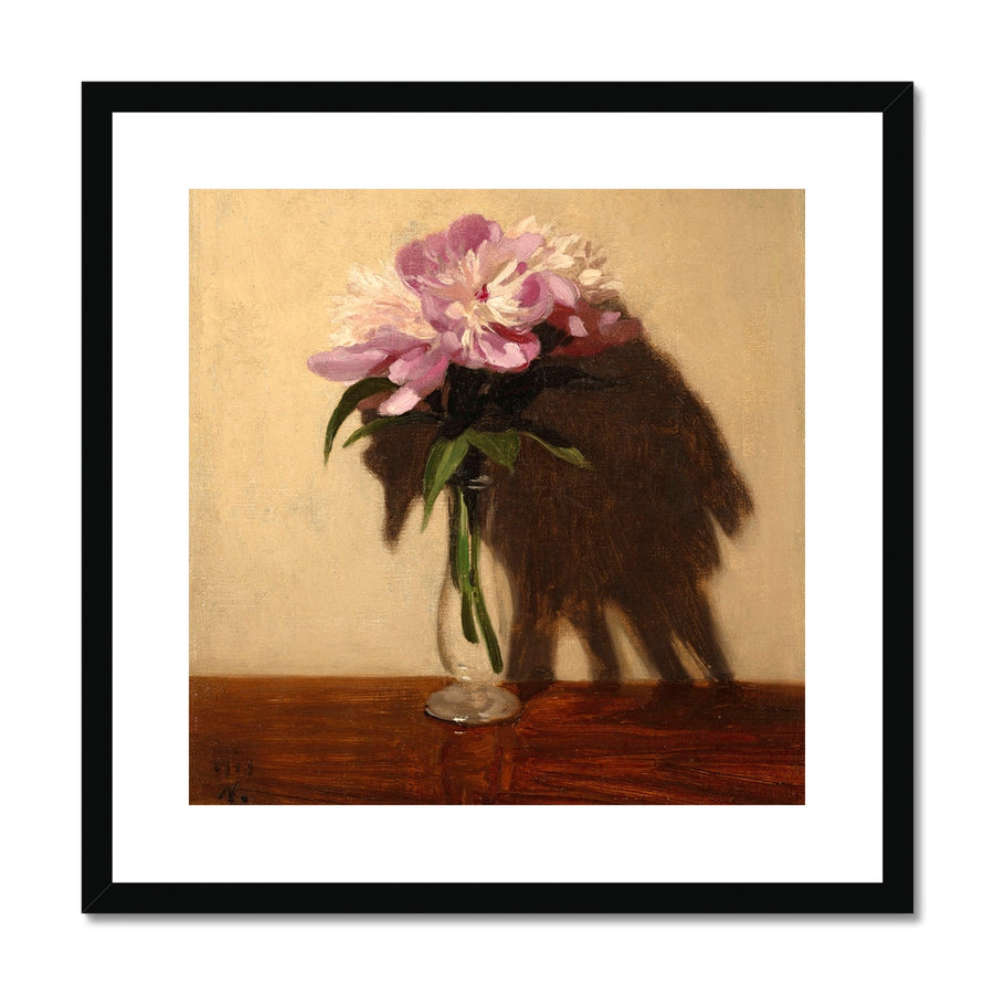 Pink Peonies