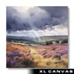 North York Moors (XL Canvas)
