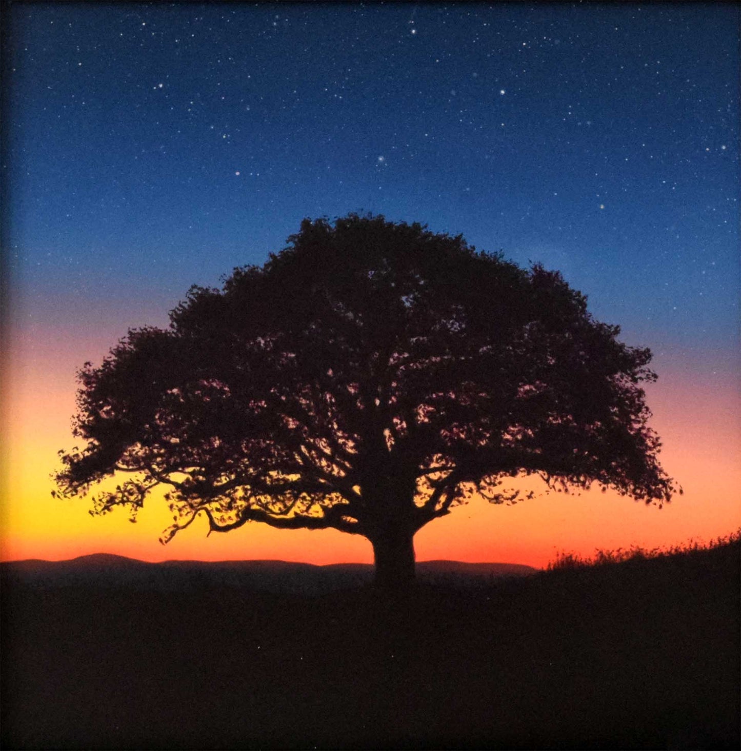 Oak Nightfall (ORIGINAL PAINTING)