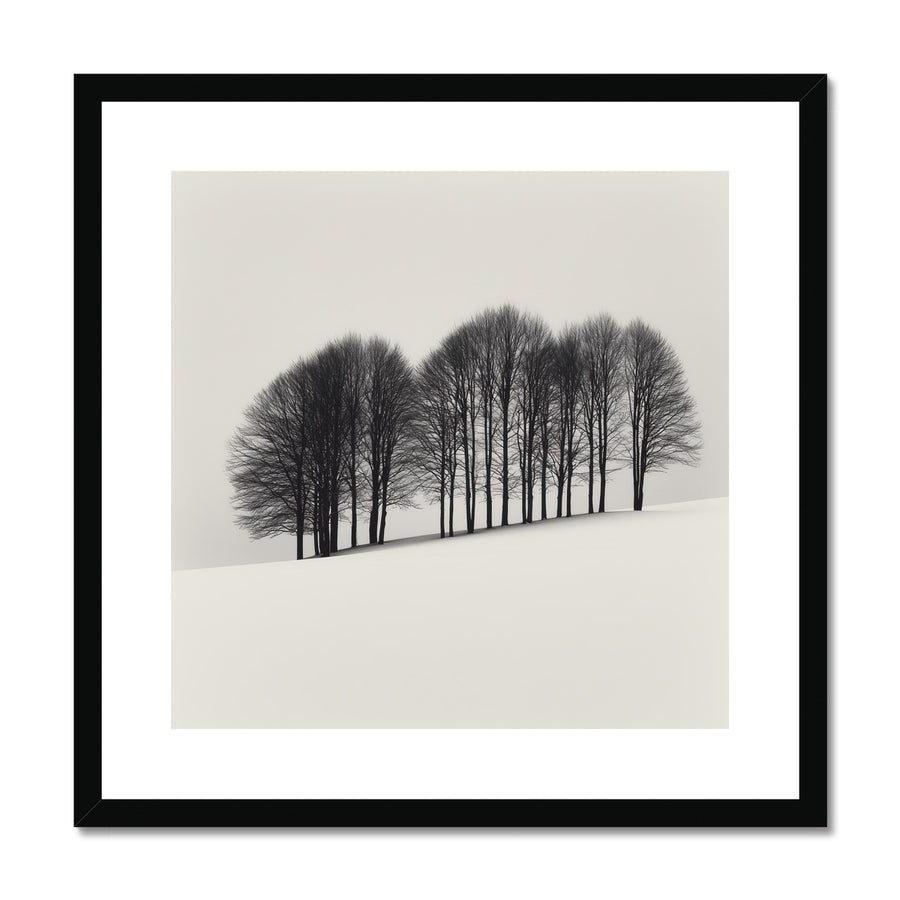 The Frost Line