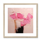 Tulips on Pink