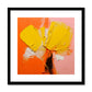 Daffodils