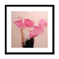 Tulips on Pink