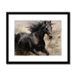 Horse Power
