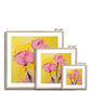 Peonies on Yellow
