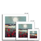 Poppy Moon Rising