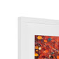 Blossom in Abstraction