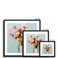 Vase of Colour